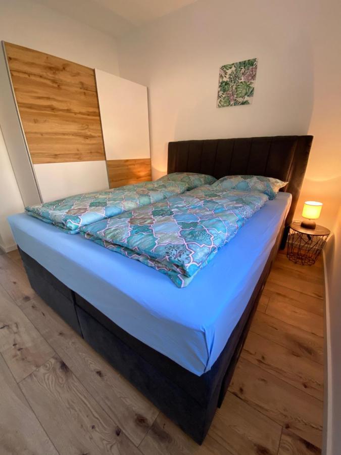 Apartments Elena ロクヴァ・ロゴズニツァ エクステリア 写真