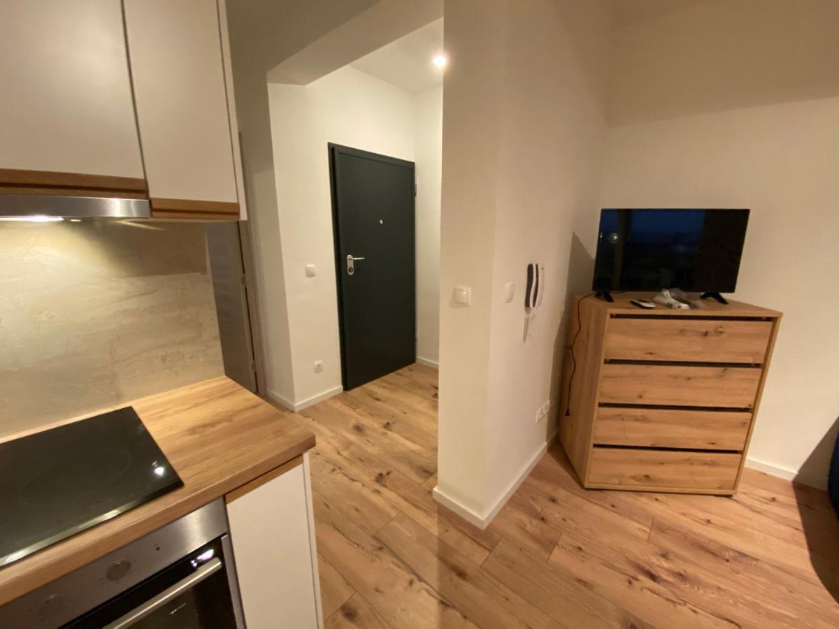 Apartments Elena ロクヴァ・ロゴズニツァ エクステリア 写真